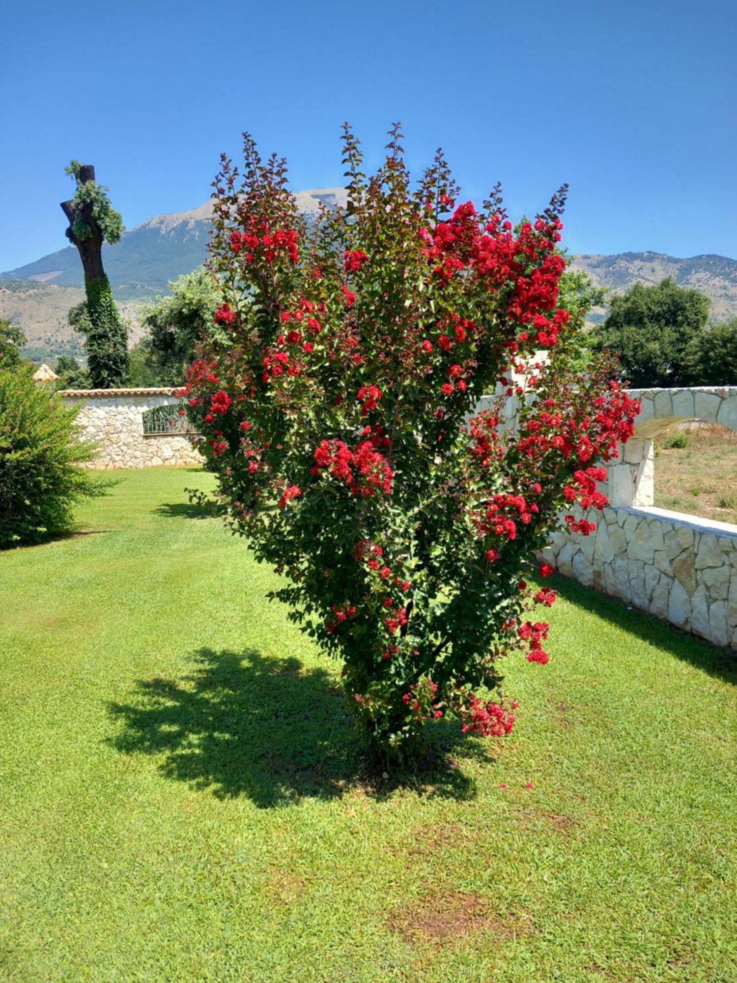 Antica Casa Scardone Villa Piedimonte San Germano Eksteriør billede